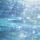 누리공익행정사사무소 이미지