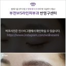 아이더블유에스 이미지