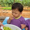 은호농장 이미지