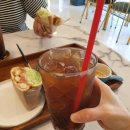 파파엘