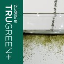 그린시너지 이미지