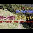 청주 장평교-피반령임도-추정리메밀밭-산정말-낭성-것대산C코스 다운 이미지