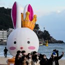엘리스의토끼굴 이미지