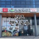 경주 루지월드 배말칼국수 맨날국수