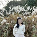 한밭수목원 | 대전 봄 가을 데이트하기 좋은 한밭수목원 다녀온 후기!