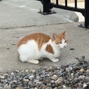 노량만두 | 오늘의 집 크리스마스 팝업 | 서촌 가을 산책길 | 위키드 2 후기 | 대전 근교 글램핑 | 유튜브 2025 recap