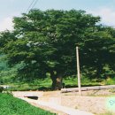 거운리마을회관 이미지