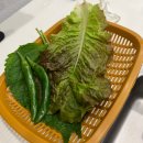 오리덕애(오리덕愛) | 중마동 맛집 오리고기 오리탕 솔직 오리덕애