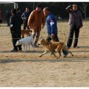 비상초등학교 이미지