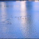 근로복지공단 통영지사 이미지