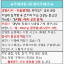 (취소)8/6(화)~8/8(목) 2박3일 해수욕과 산책 힐링캠프 이미지