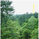 삼마치2리-01 이미지