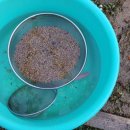 한일농장 이미지