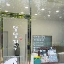 댕댕지구 이미지