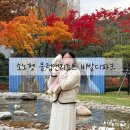 패밀리독 | 강원도 애견동반숙소 소노펫 클럽앤리조트 비발디파크 스탠다드 패밀리룸 내돈내산 숙박 후기