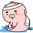 빈체로 휘트니스 네이버블로그