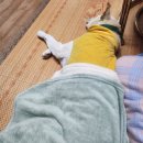 두린아이 | 12.15