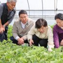 성주축산 이미지