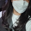 보그헤어 선부점 이미지