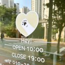 헤이멍멍 애견미용호텔 이미지