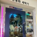 하나세탁 | [내 돈 내산] 하나런드리 운동화 세탁 후기 셀프 빨래방