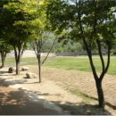 문경에서 박달재 덕평 자연 휴양림까지 이미지