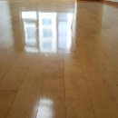 분당-184 이미지