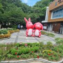 (주)수호천사 이미지