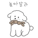 살롱아리 이미지