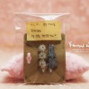 리틀애견 이미지