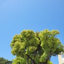 솔동산로11번길 이미지