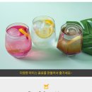원에프엔티