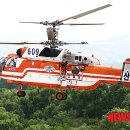 산림청 동부지방산림청 영월국유림관리소 이미지