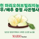 마리오농장