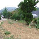 호서대입구 이미지