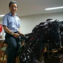 대원포티스 이미지