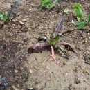 재환농장 이미지