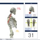 ROYFIT(로이핏) 이미지