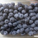 안하농장 이미지