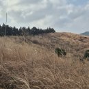 [목요산행] 2월 첫째 주 (손지오름.거미오름(동검은이오름)) 이미지