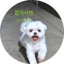 오늘의쇼핑 | 오늘의 집 쇼핑 후기 쓰고 블로그 수익화 하기 | 세시간전 수익화 방법
