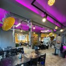 빨간장어 이미지