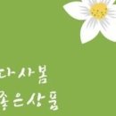 (주)알지오(RGO) 이미지