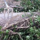 나무네농장 이미지