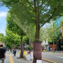 기동반-1 이미지