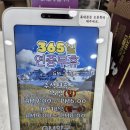 GM약국
