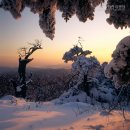 (제1019차) 덕유산 육구종주 눈꽃산행(1월 15일 04:30) 이미지