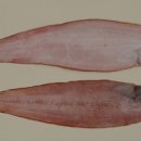 구백식당 이미지