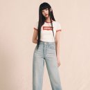 스타501 이미지