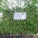 천주교삼성동성당 앞 이미지